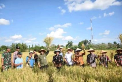 Produktivitas Padi di Metro Terus Menurun, Kerusakan Irigasi Jadi Sorotan Utama